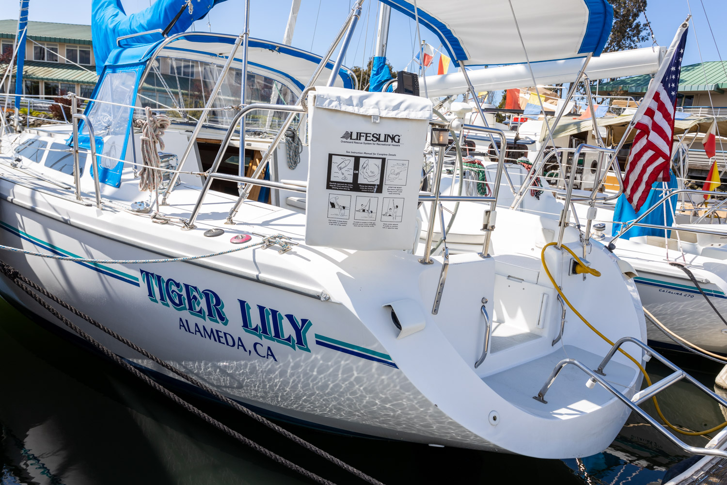 Catalina 36 - TIGER LILY 15